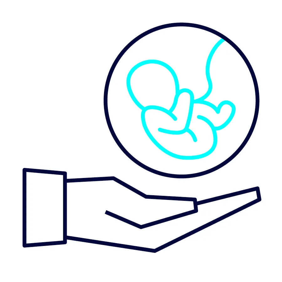 Capita Website Benefits SupportForFertilityTreatment Icons