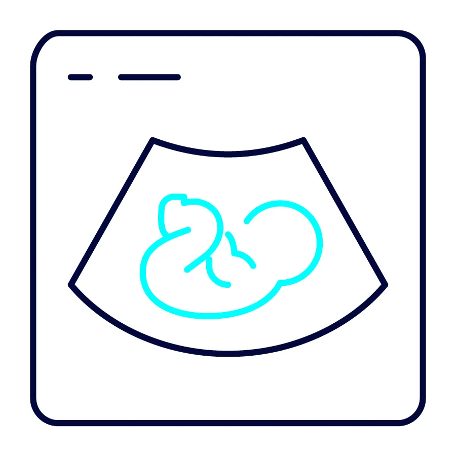 Capita Website ParentalLeaveAndPay Icon