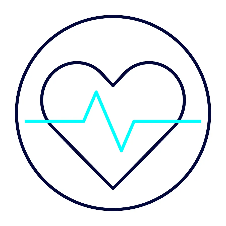 Capita Website HeaslthAssessment Icons